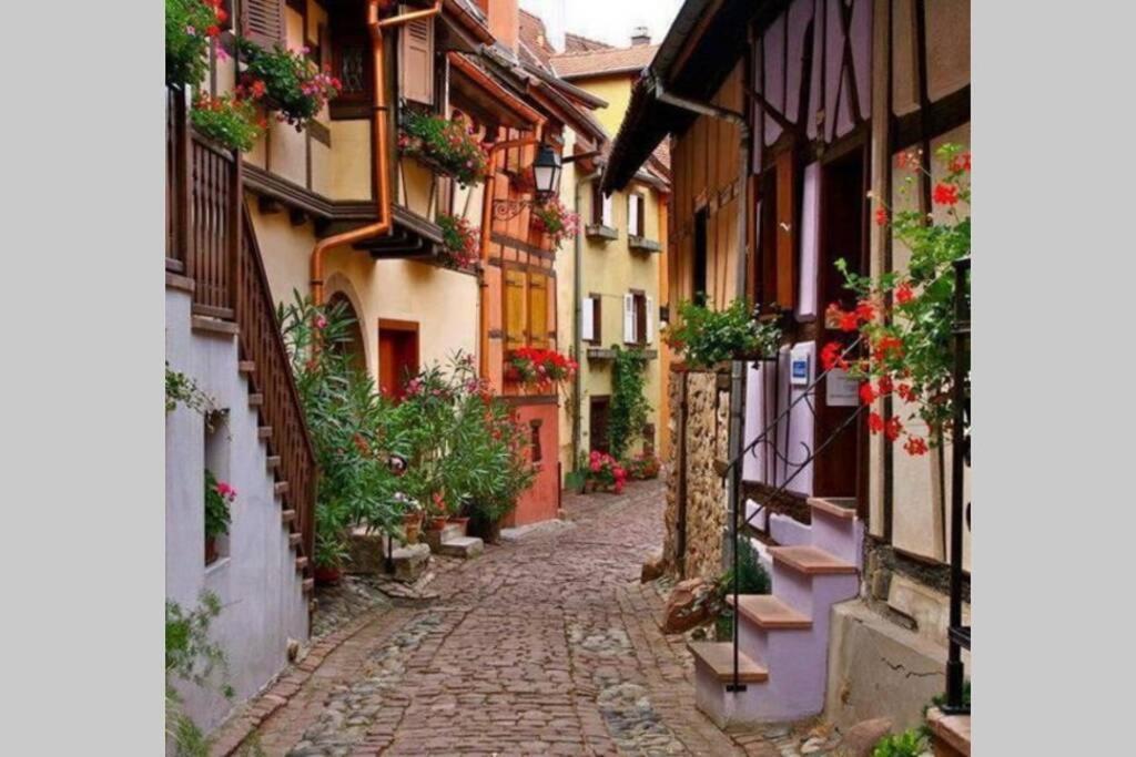 Gite A Eguisheim Proche De Colmar Et Kaysergberg. Exterior foto