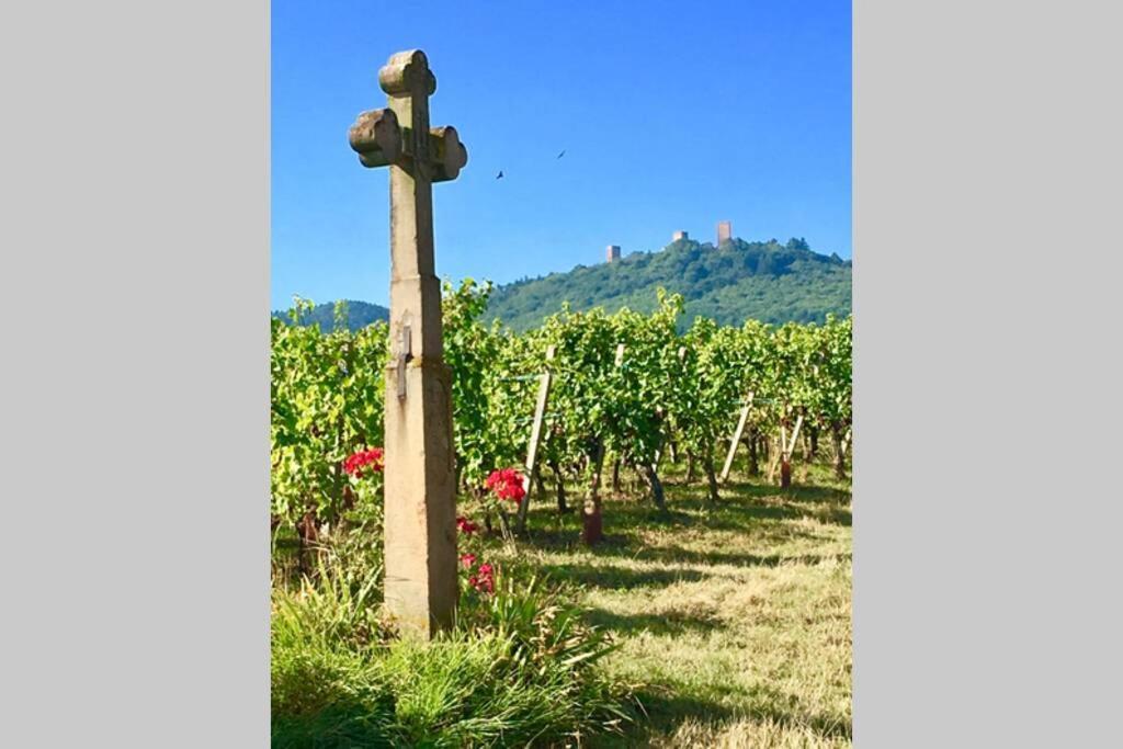 Gite A Eguisheim Proche De Colmar Et Kaysergberg. Exterior foto